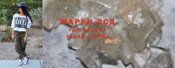 стафф Арсеньев
